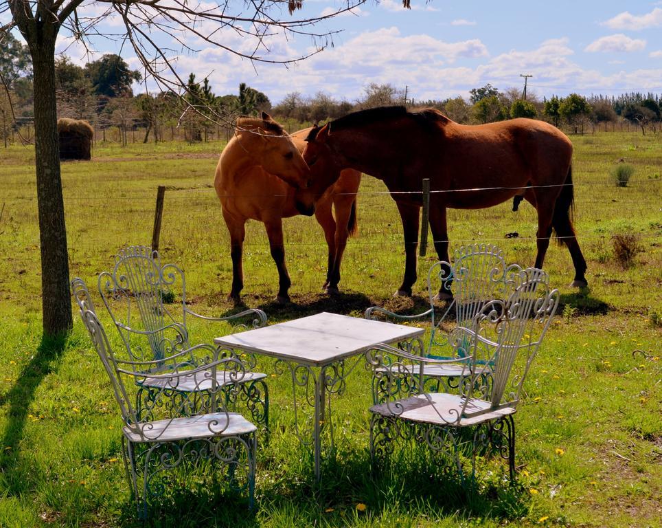 El Ranchito De Areco San Antonio de Areco Exterior photo